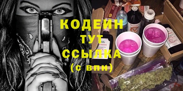СК Няндома